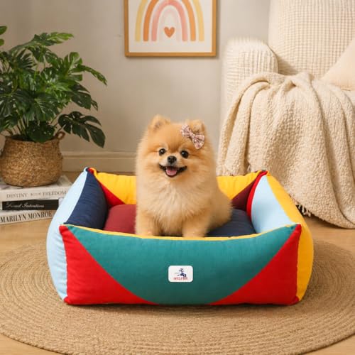 Image of Cotton Canvas Dog Bed, Cute Dog Beds for Small Dogs, Puppy Bed with Washable Removable Cover, Durable 290 GSM Cotton Anti-Chewing Pet Bed with Anti-Slip Bottom (24 inchx20 inchx8 inch, Red&Yellow&Green)