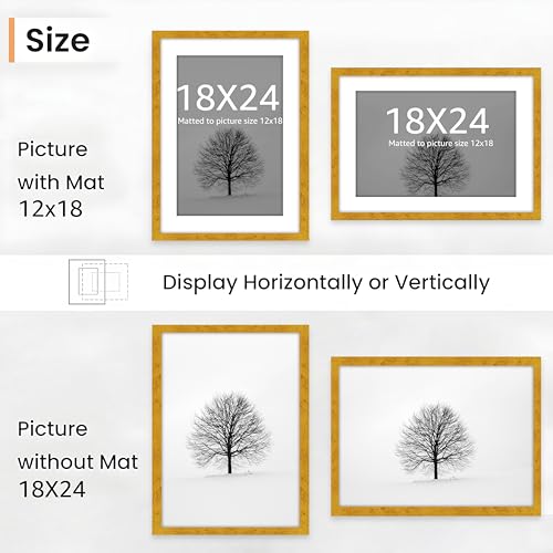 Image of Art Street Synthetic Document Large Size Wall Photo Frame, Set of 2 Big Frames For Wall Artwork, Certificates, Picture & Photographs Home Decor (18x24 Inch, Matted To: 12x18 Inch, Gold)
