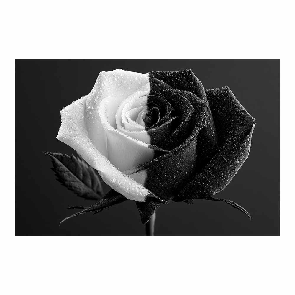 HOQIU Black And White Posters Black Whites Dewy Ros canvas wall art, decorative paintings, for Bedroom Living Room Bathroom Office Home Decoration(Multicolor)-80x120cm Unframed