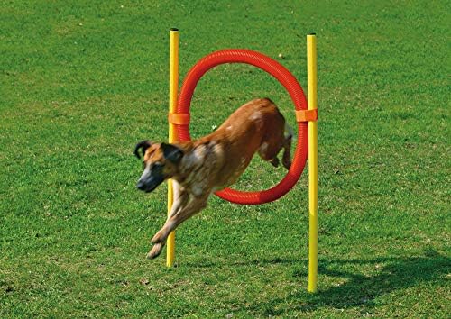 Karlie 31853 Agility Bow Set, 60 cm, Red and Yellow