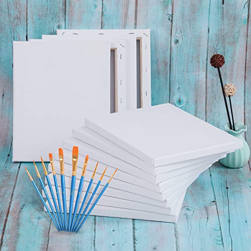 Canvas Boards for Painting 8x10, 8x10 Canvas Value Pack of 12 Blank Pre Stretched Canvases Panels 5/8”Thick 100% Cotton for Acrylics Oil Painting with 10pcs Brushes Set Art Paint Kits for Adults Kids