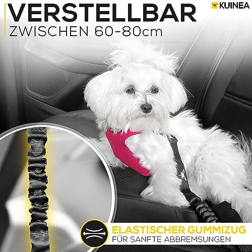KUINEA® 2X Sicherheitsgurt für Hunde – elastischer Hundegurt mit Rückdämpfung & Verstellbarer Länge – Anschnallgurt fürs Auto, Robustes Hunde Zubehör für alle Rassen & Autotypen