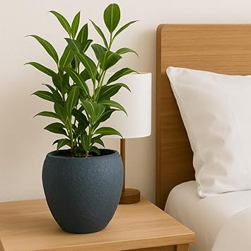 CINAGRO Metal Planter Pot with Stand for Indoor Plants, Round Decorative Flower Pot, Rust-Resistant, Modern Plant Holder for Home, Balcony, Office (13.9 x 12.7 cm, Shadow Husk) - image, photos