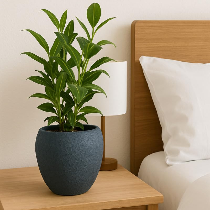 Image of CINAGRO Metal Planter Pot with Stand for Indoor Plants, Round Decorative Flower Pot, Rust-Resistant, Modern Plant Holder for Home, Balcony, Office (13.9 x 12.7 cm, Shadow Husk)
