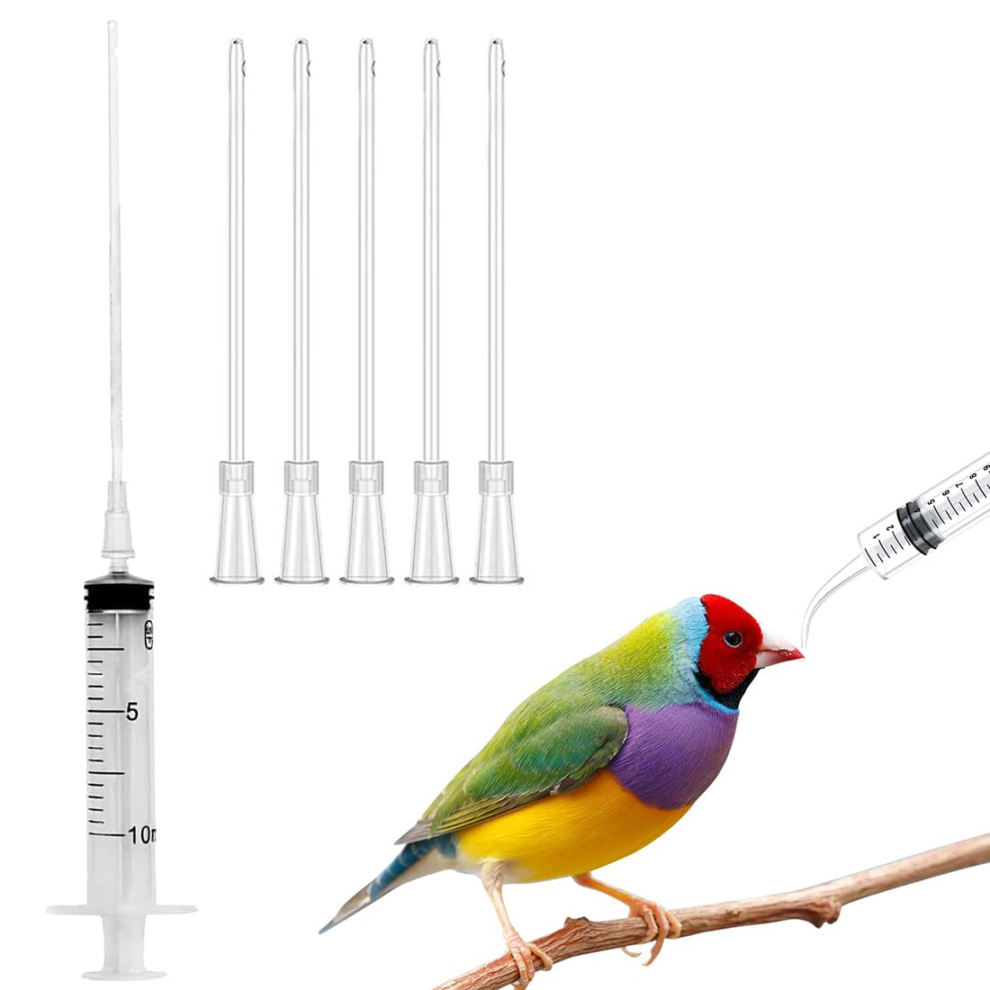 WUSJCOF 6 Pezzi Strumento per Alimentazione Manuale, Alimentatore per Pappagalli e Pulli, Tubo per Veloce, Siringhe per Uccelli Domestici Giovani,Contiene 1 tubo da iniezione da 10 ml