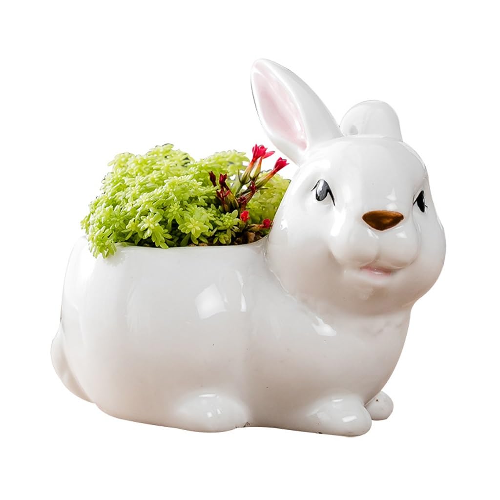 GELASIGE Flower Pots Creative Ceramic Animal Flowerpots, Gardening Tableware, Succulent Flowerpots Outdoor Flower Pots
