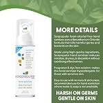 Alcohol Free Foam Hand Sanitizer, 0.15% Benzalkonium Chloride, Hypoallergenic, Fragrance Free, Safer for Kids, 180mL (Pack of 3)
