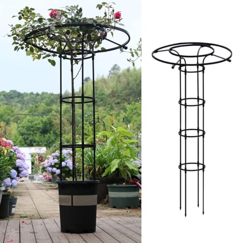Tour de support pour vignes en métal noir, tuteur vertical robuste de 150 cm