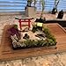 Zen Garden Japanese Decor with Gate, Lamp and Tools - Serene Indoor/Outdoor Meditation Space Decoration Kit (Black+red)