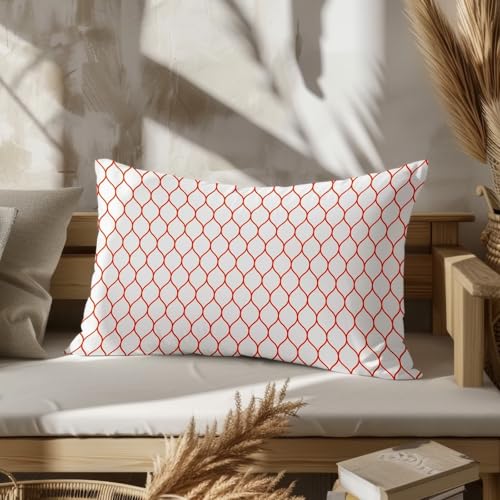 CEVAN Rectangular Funda Cojín Sofa Fundas Almohada Cuadradas Seda Patrones Geométricos, Funda Almohada Cremallera Fundas De Almohada Transpirable 50x75cm