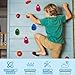 SREHRLY 32 PCS Rock Climbing Wall for Kids,Rock Wall Climbing Holds,Adults Climbing Wall Grip Kits Holds Up to 230 lbs for Outdoor Indoor Home Playground Climbing Wall Holds