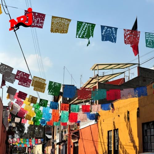 Mexique : focus sur l'incroyable faune du pays