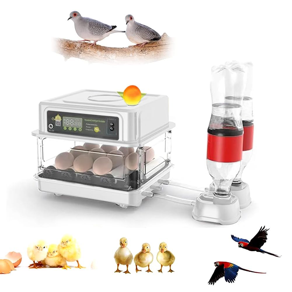 JUMEIYP Egg Incubator,Small Household Digital Automatic Incubators for Hatching Parrot/Birds/Chickens/Ducks/Quails and Goose,Built-in Led Candler (24 eggs)