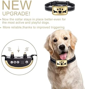 Dual shock collars for dogs Clearance