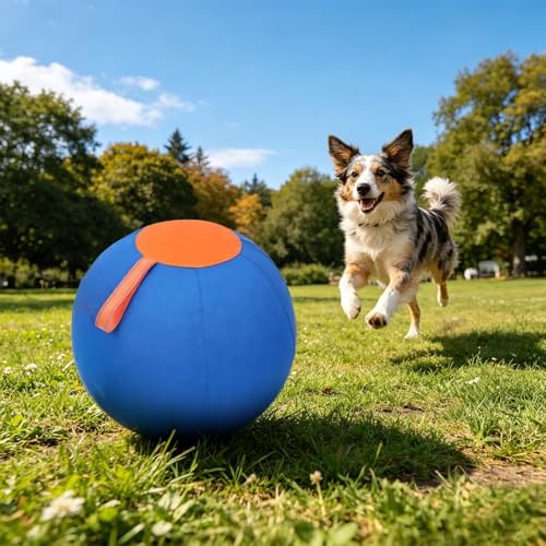 Pelota de pastoreo para perros grande e interactiva para exteriores 4