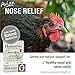 HomeoPet Avian Nose Relief, Safe and Natural Bird and Chicken Supplement, 15 Milliliters