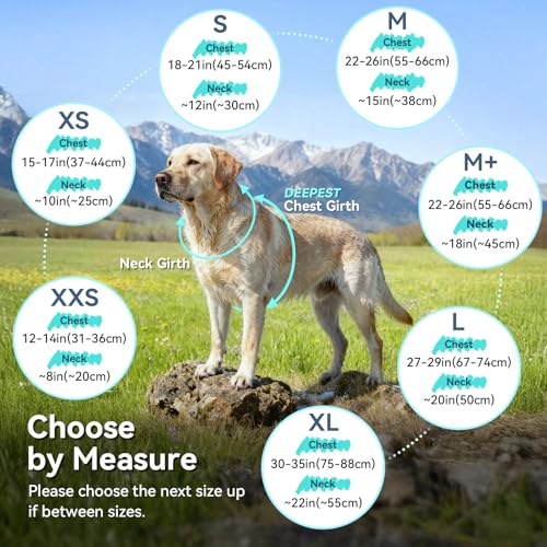 VIVAGLORY Softpad Wintermantel Hund, Hundemantel Fleecemantel Hund, Fleecejacke mit Bauchschutz, Fleece Reflektierend Verstellbar Softshell, M, Rosa