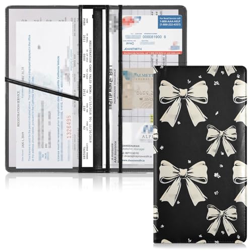 Organizador de Documentos para Auto