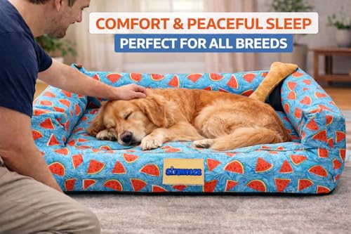 Image of SITSNOOZE Medium Dog Bed (5 to 10kg) for Beagle, Pug, French Bulldog - Extra Soft Washable Lounger Cushion, Orthopedic Mattress, Waterproof Anti-Slip Base Luxury Cotton Pet Bed (Print 20, M)