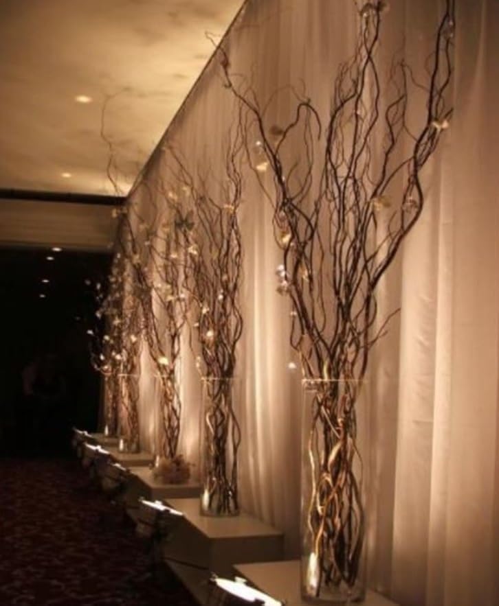 10 Thick and Tall Natural Curly Willow Branches for Decor, 4-5 Feet Long - Wedding or Christmas Decor, Wreathmaking (10 Branches)