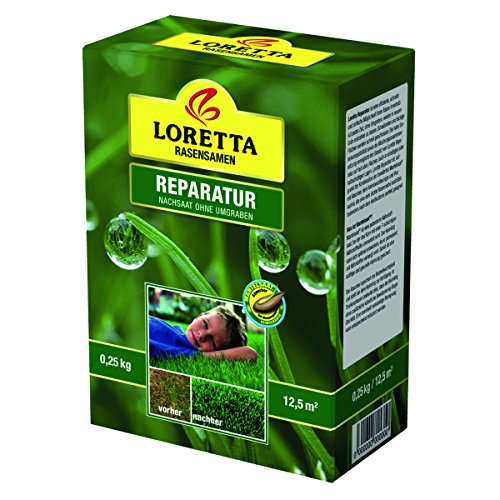 Loretta 57752 Reparaturrasen 250 g