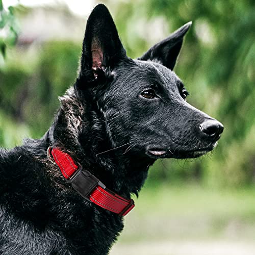 Joytale Reflective Dog Collar,Soft Neoprene Padded Breathable Nylon Pet Collar Adjustable For Large Dogs,Red,L #TOP1
