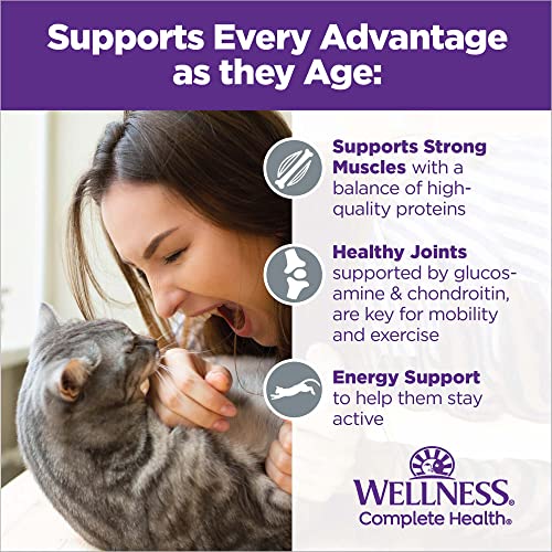 Wellness Complete Health Grain-Free Chicken Entrée Senior Wet Cat Food, Age Advantage, Made With Real Chicken, All Breeds (Senior, Chicken Pate, 3 Ounces, Pack Of 24) #TOP5