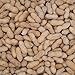 Barcelona Nut Inshell Unsalted Roasted Peanuts - 1 Pound - USA Grown - Gluten Free - In Shell For Humans