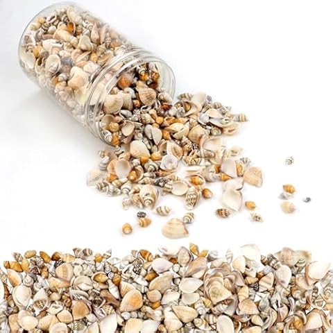 1500 Pcs Small Shells for Crafts,Small Sea Shells for Crafting,Mini Seashells Bulk for Decorating,Assorted Tiny Seashells for Resin,Home Decorations, Beach Theme Party, Candle Making, Wedding Decor Cover