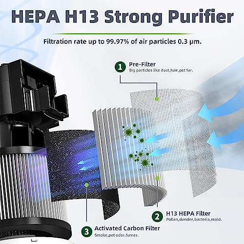 CONOPU Air Purifier For Bedroom, Air Purifier for Home with 3-Stage Filtration, Aromatherapy Function, Air Filter with Night Light, Air Cleaner For Pet Pollen Dander Dust - Image 3