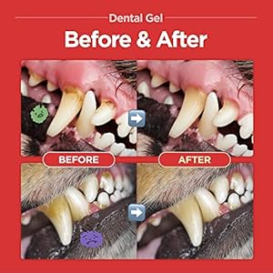 Dental Gel – Dog Cat Toothpaste, Removing Plaque and Tartar, Teeth Cleaning & Breath Freshener, Puppy Kitten Dental Care with Vet Approved (2.82oz. 80g)