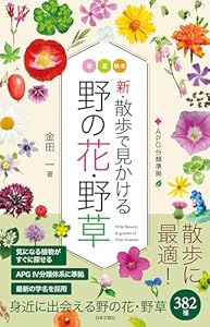 新・散歩で見かける野の花・野草