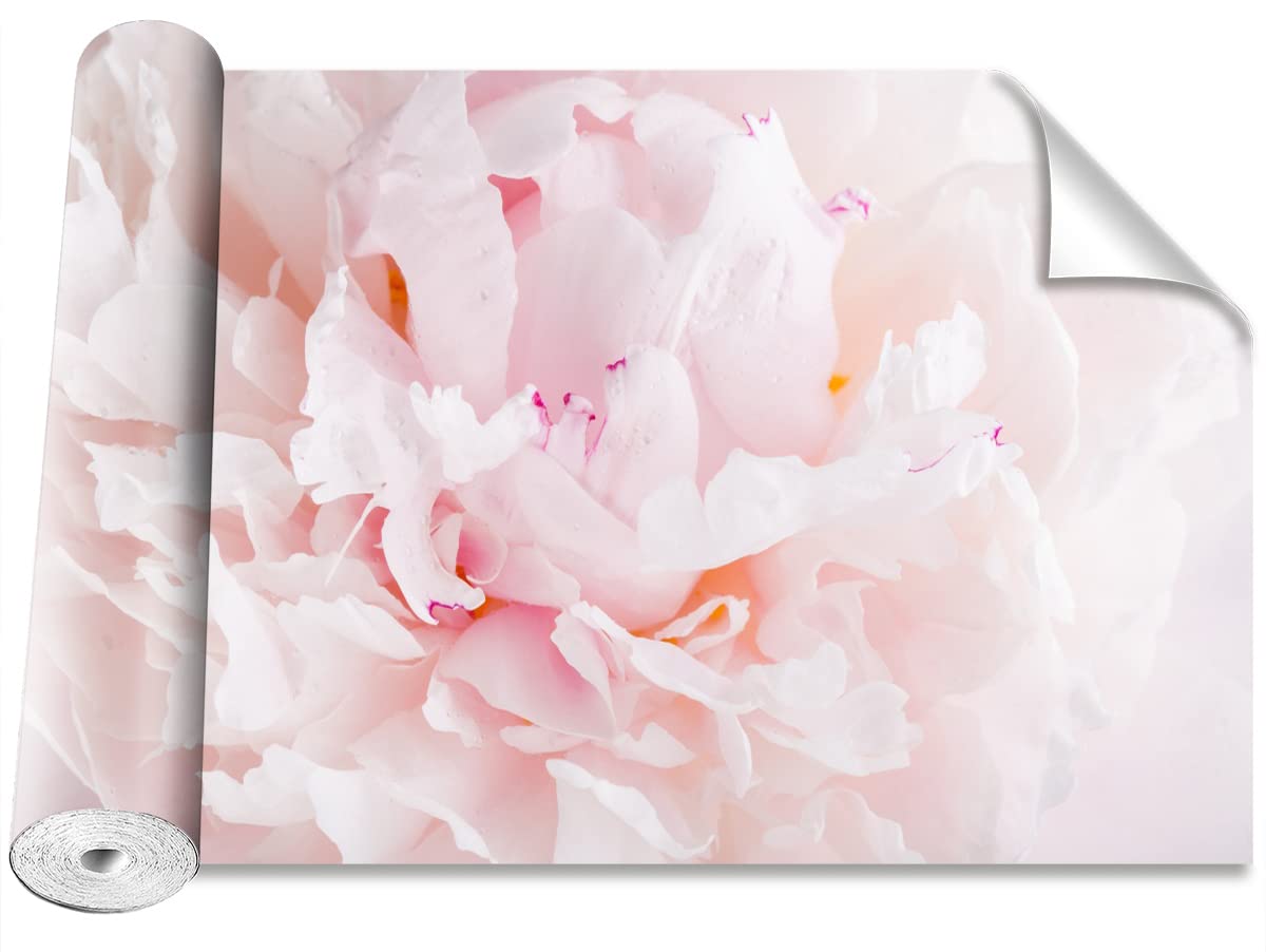 Papier peint pivoine rose décoration murale moderne amovible salon maison 152x104cm