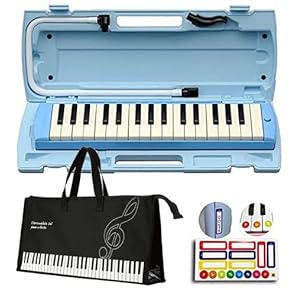 鍵盤楽器 RJ イタリアのビンテージ鍵盤ハーモニカChordiana、レアなパイプ型