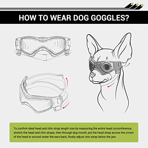 NAMSAN Anti-UV Hundebrille mit Haustierhelm, Winddicht Augenschutz Hunde Sonnenbrille, Cooler Motorrad-Haustierhelm für Kleine/Mittlere Hunde