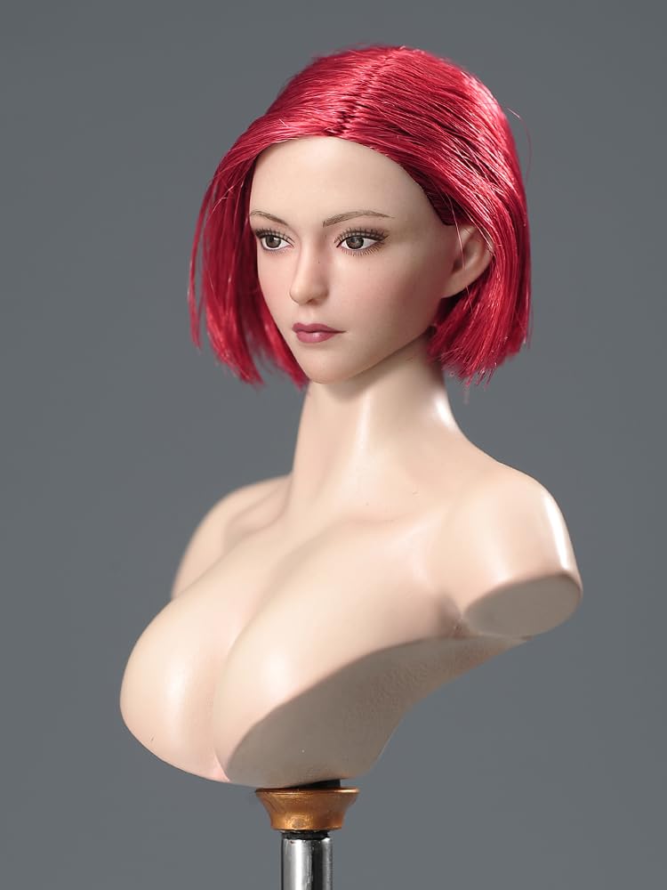 1/6 スケール 女性フィギュア　素体ヘッドセット　アクションドール　美女絶版品 Amazon.co.jp: 1/6スケール 女性ヘッド スカルプト 美女兵 植毛ヘッド