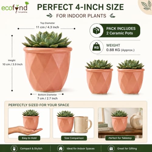 Image of ecofynd 4 Inch Ceramic Plant Pots with Drainage Hole, Modern Decorative Clay Flower Pots for Indoor Plants, Home Garden Decor for Living Room, Bedroom & Interior Spaces (Pack of 2, CPOT043-PNK)