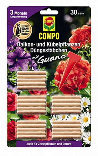 Preisvergleich Produktbild Compo Balkon- und Kübelpflanzen Düngestäbchen mit Guano, 30 Stück