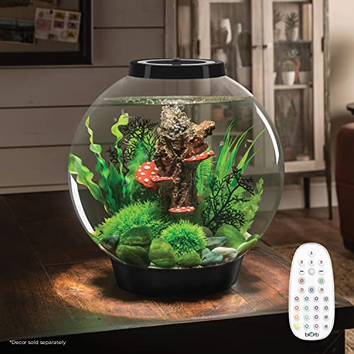 Image of biOrb Classic 30 Acrylic 8-Gallon Aquarium with Multi-Color Remote-Controlled LED Lights Modern Tank for Tabletop Display, Black