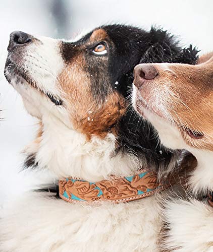 MICHUR Mariano Hundehalsband Leder, Lederhalsband Hund, Halsband, Beige Blau Braun, Leder, mit gestanzten blumigen Mustern, Halsumfang 35-43cm / Gesamtlänge 50cm