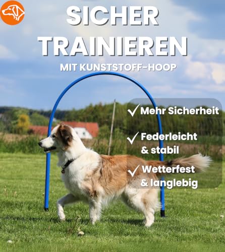 SPORTIKEL24 Hoopers Hoop – wetterfest, VDH-konform & farbig – mit Stecksystem für sicheres Hundetraining – aus robustem Kunststoff – Flexibler Hundesport-Reifen mit Stecksystem – Blau/Gelb