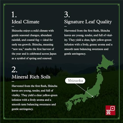 Image of Ocha & Co. Organic Green Tea - Shincha First Harvest Loose Leaf Japanese Tea - Aromatic, Grassy & Sweeter than Sencha Green Tea, 80g /2.8oz