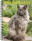 What Cats Teach Us 2026 Engagement Calendar