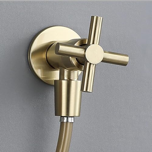 Bidet pomme de douche et tuyau avec robinet d'eau froide manuel - 3