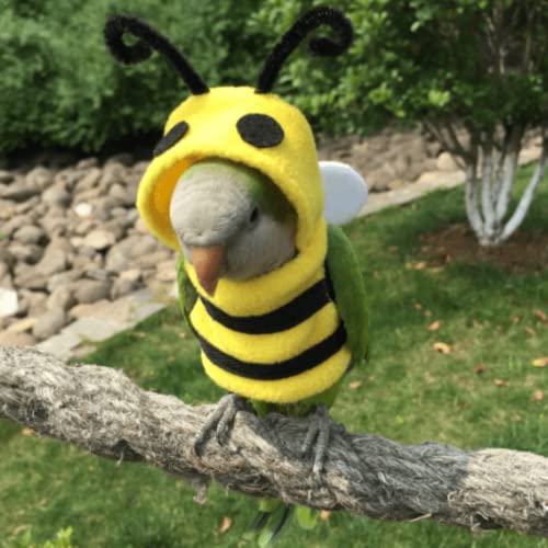 Image of Bird Costume Diaper Flight Suit Bee Shape Clothes Cosplay Photo Prop for Parrots Lovebird Budgie Parakeet Cockatiel Sun Conure, Small Animals Apparel (Bee Without Diaper, Medium), Green (BPF1)
