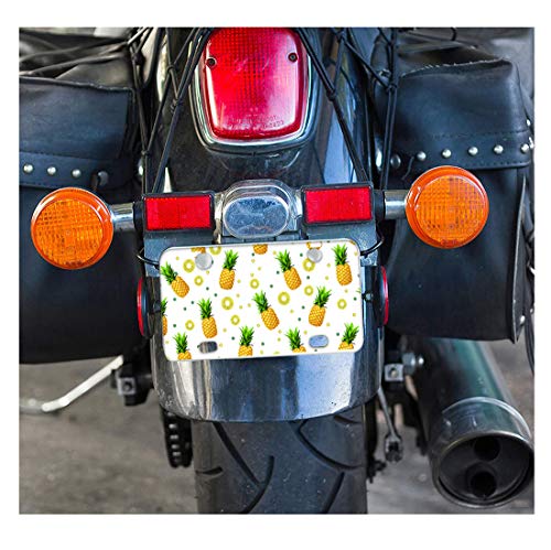 Fuibeng Sunflower Cow Printed Auto License Plate Cover Durable Car Front License Plate Frame Metal Auto Front Tag Holder Decoration Accessory,Universal Fit All Cars #TOP5