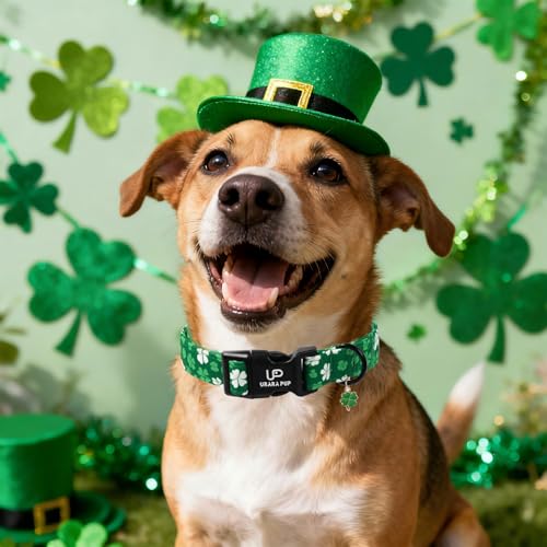 Image of St. Patrick's Day Dog Collar, UP URARA PUP Shamrock Adjustable Pet Collar with Quick Release, St. Patrick's Day Dog Accessories for Small Medium Large Dogs