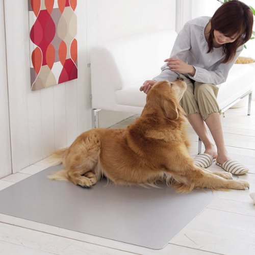 Amazon | 純アルミ製ひんやりプレート ミニS 夏 マット 犬 暑さ対策