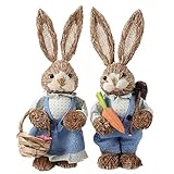 🐰 【Osterhasen】 Diese niedliche strohfreie Hasen-Osterdekoration ist eine großartige Ergänzung für Ihre Osterfeier-Heimparty und -Aktivitäten. Es kann auch als einzigartiges Geschenk für Ihre Freunde am Valentinstag dienen, besonders geeignet für diejenigen, die kleine Tiere lieben. Sie können als Schulgeschenke, Abschlussgeschenke, Geburtstags- oder Ganzjahresgeschenke für Kinder verwendet werden.