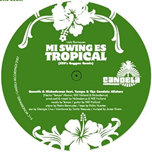 i pod TV-CM 曲 Mi Swing es Tropical レコード i pod TV-CM 曲 Mi Swing es Tropical レコード QUANTIC